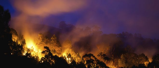 wildfire at night.