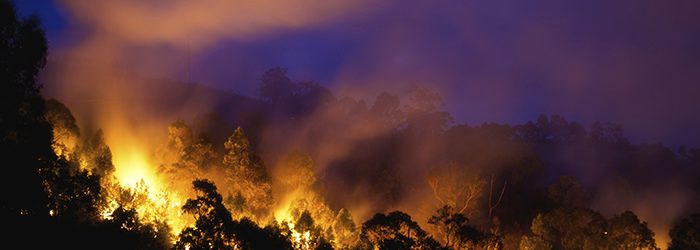 wildfire at night.