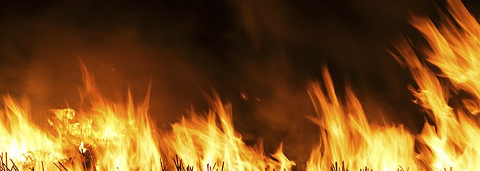 wildfire in a field.