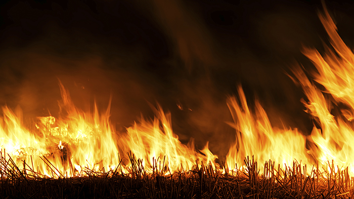 wildfire in a field.