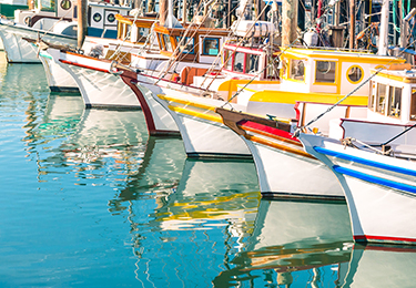 Bateaux amarrés dans une marina.