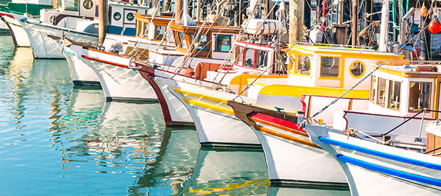 Bateaux amarrés dans une marina.