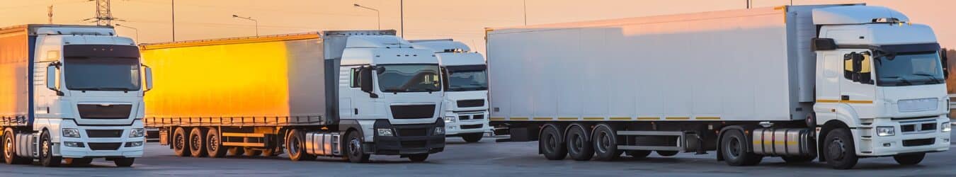 fleet insurance