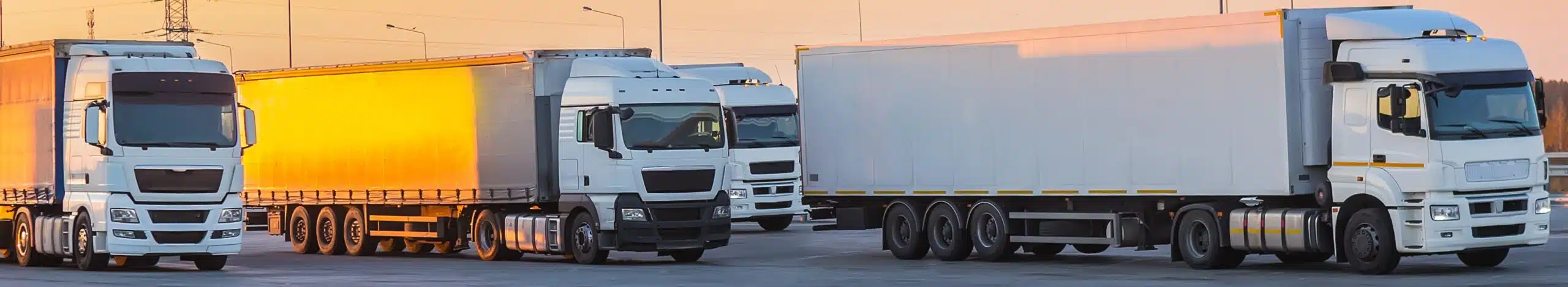 fleet insurance