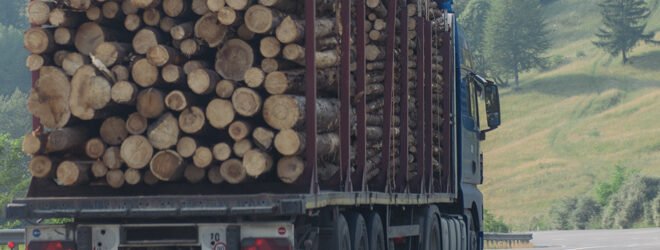 Camion forestier roulant sur une route