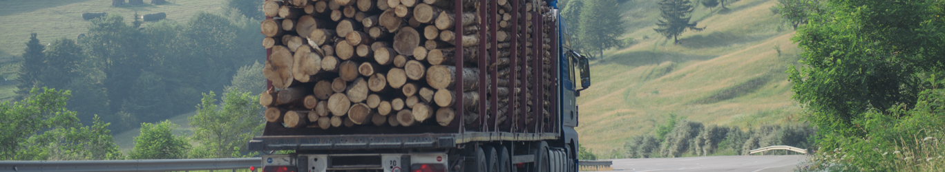 Camion forestier roulant sur une route