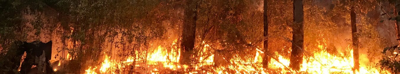 Un feu de végétation