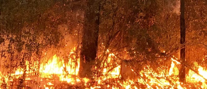 Un feu de végétation